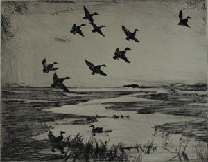 Image description is not available for DU1946.252